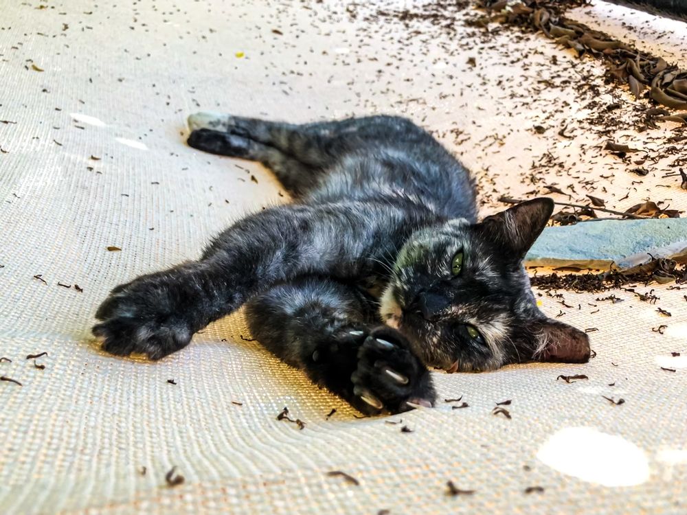 Photograph by Olya Molchanova