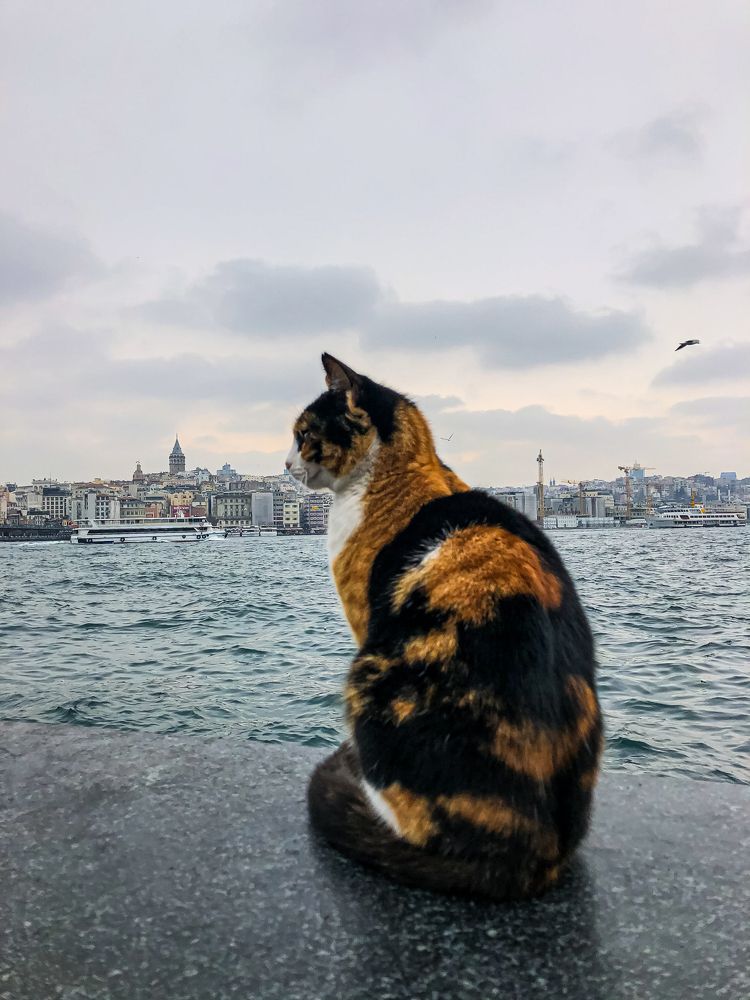 Photograph by Olya Molchanova