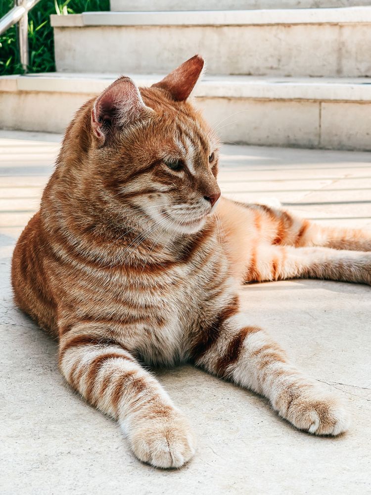 Photograph by Olya Molchanova