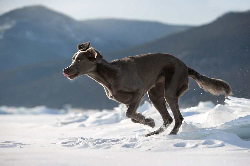 Photograph by Лана Полякова