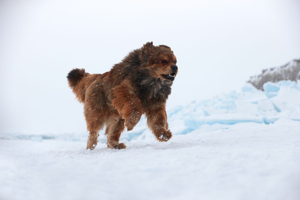 Photograph by Лана Полякова