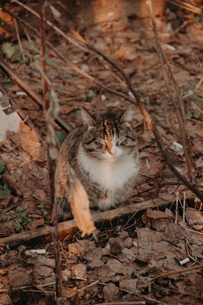 Photograph by Константин Семенюк