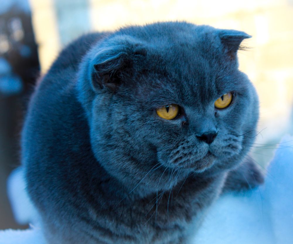 Photograph by Татьяна Слободчикова