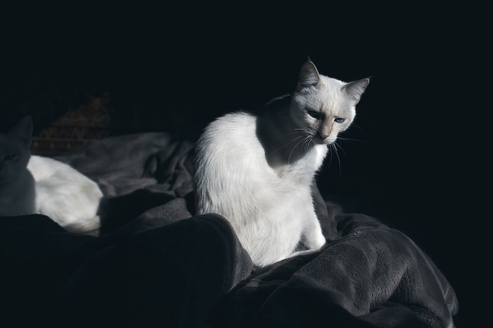 Photograph by Панькина Мария