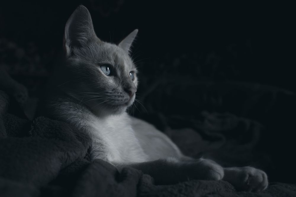 Photograph by Панькина Мария