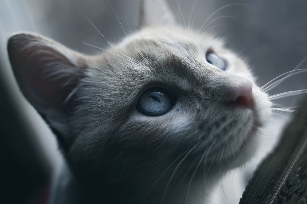 Photograph by Панькина Мария