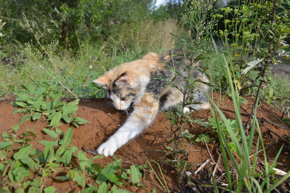 Photograph by Альфия Бикмухаметова