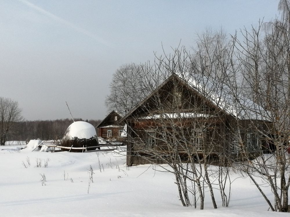 Photograph by Галина Смирнова