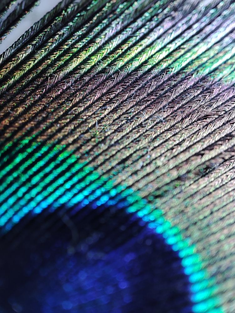 Photograph by ValentinaK