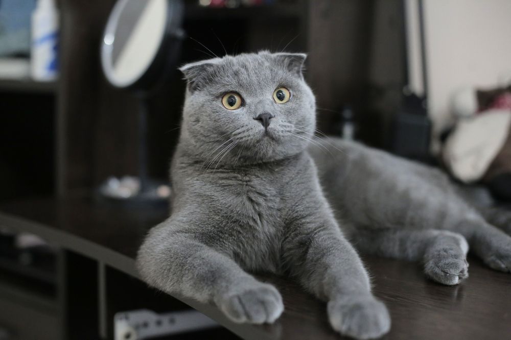 Photograph by Алина Егорова