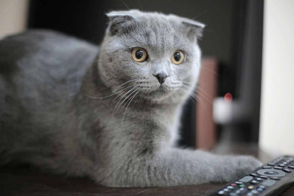 Photograph by Алина Егорова