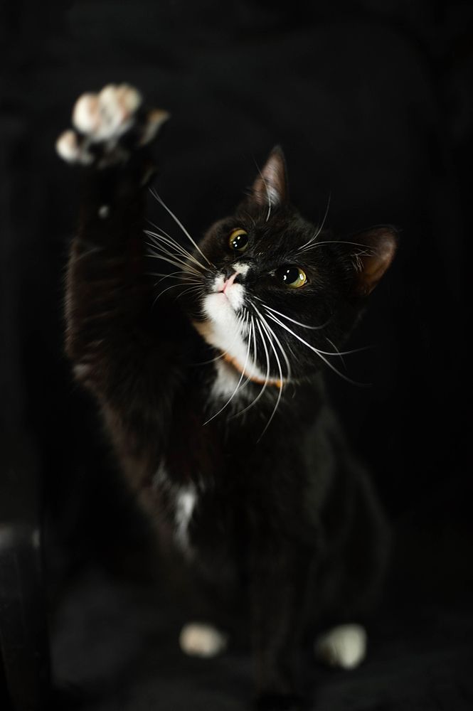 Photograph by Семина Ольга