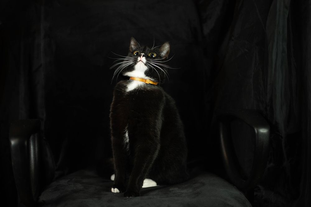 Photograph by Семина Ольга