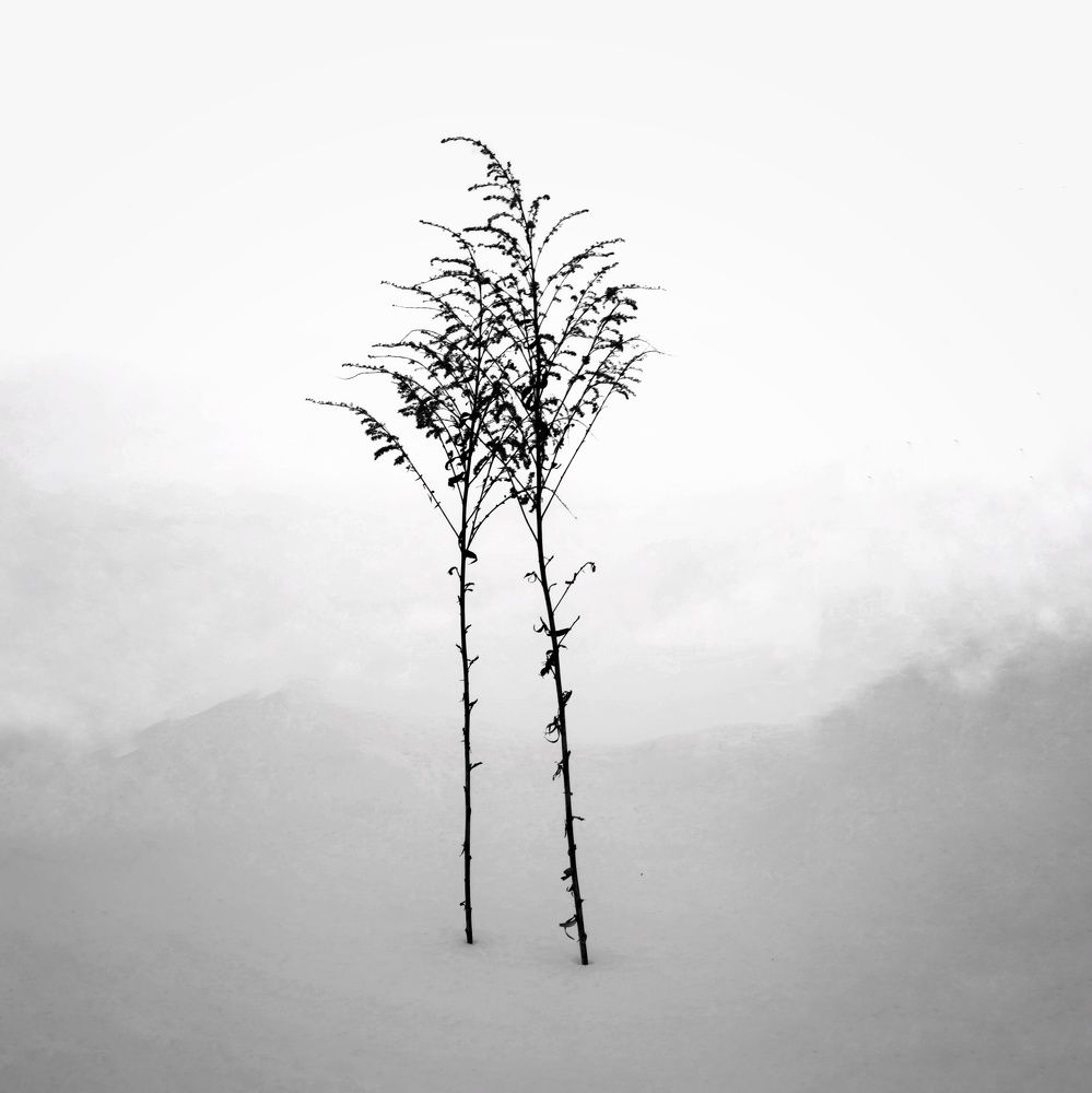 Photograph by Юрий Полушин