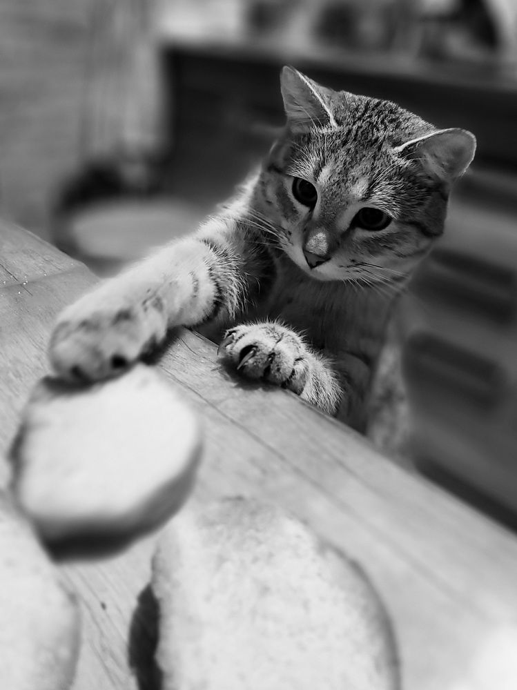 Photograph by Светлана Гаранина