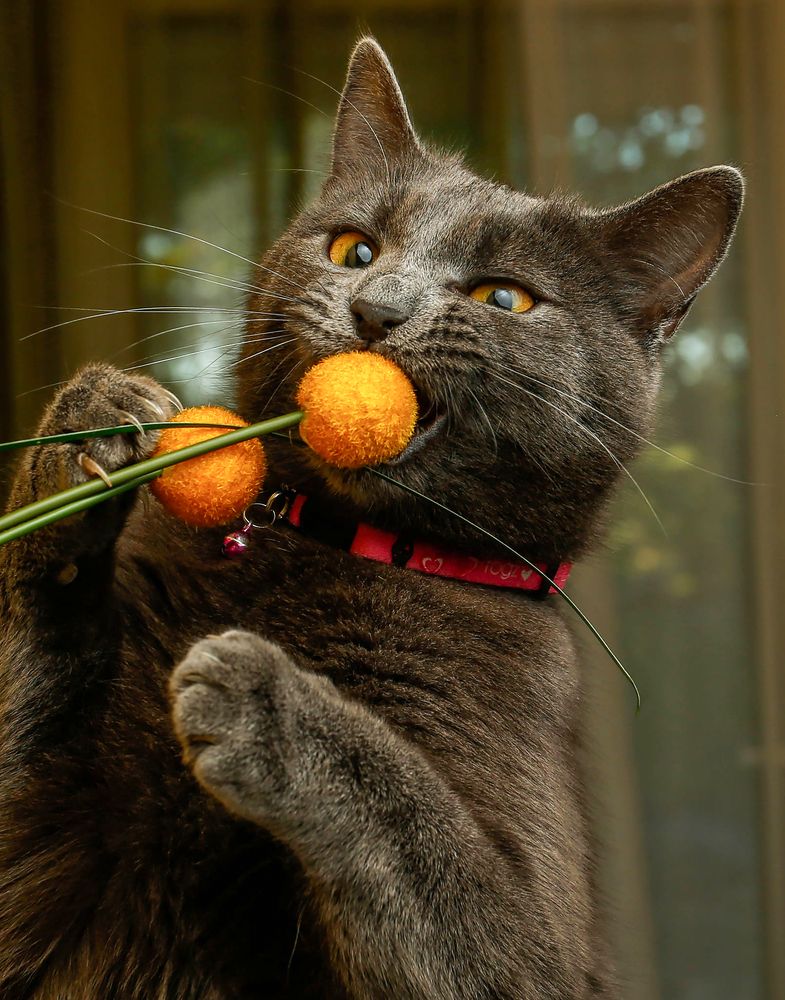 Photograph by Jasmina Ban