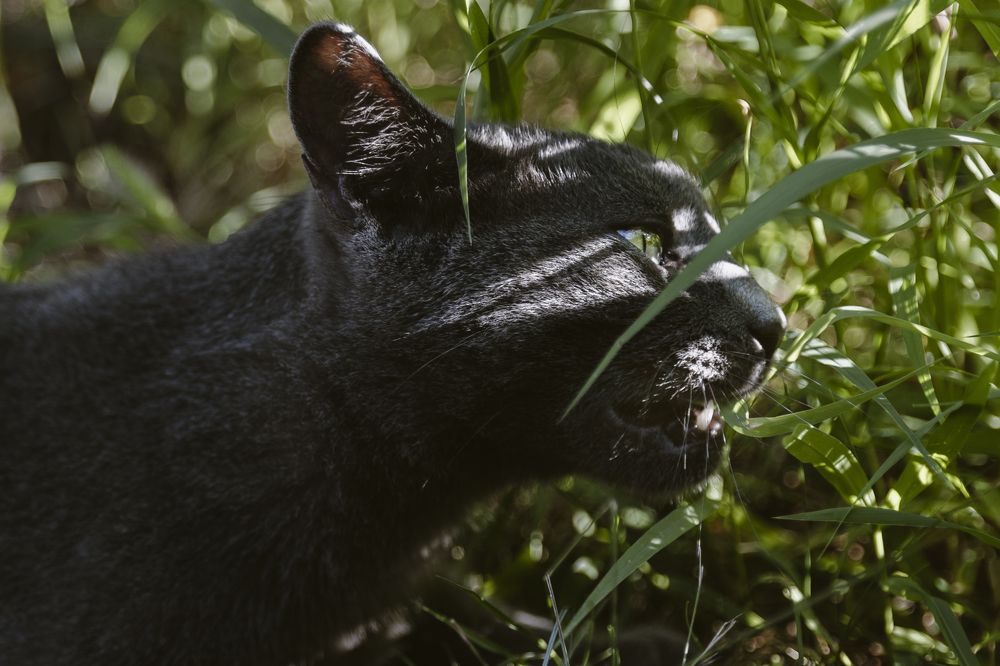 Photograph by Jasmina Ban