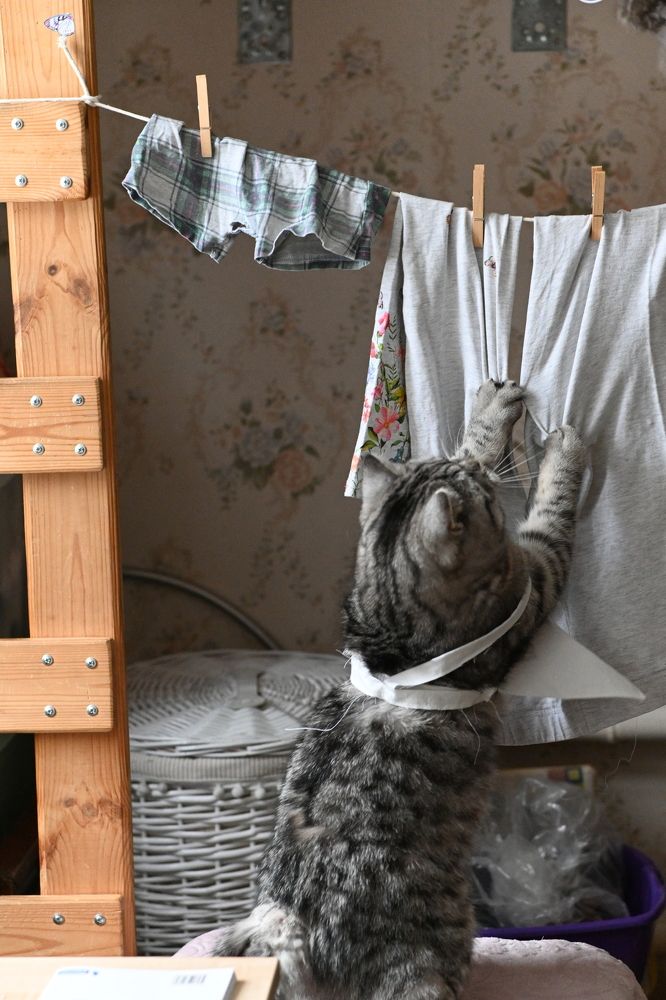 Фотография автора Ольга Гатауллина