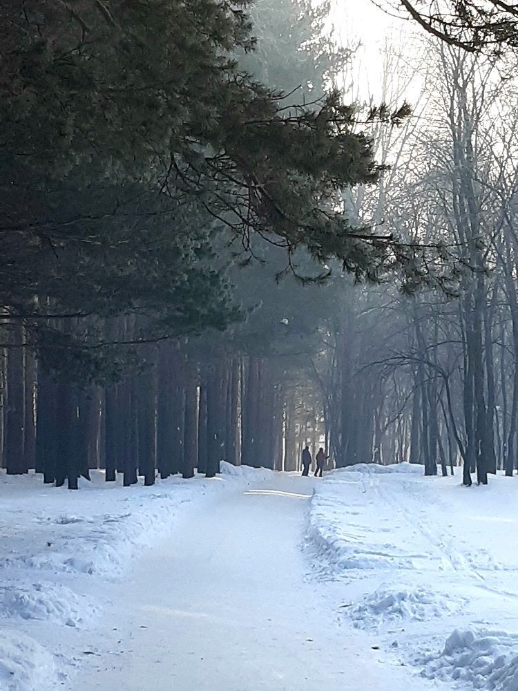 Фотография автора Наталья Шендяпина