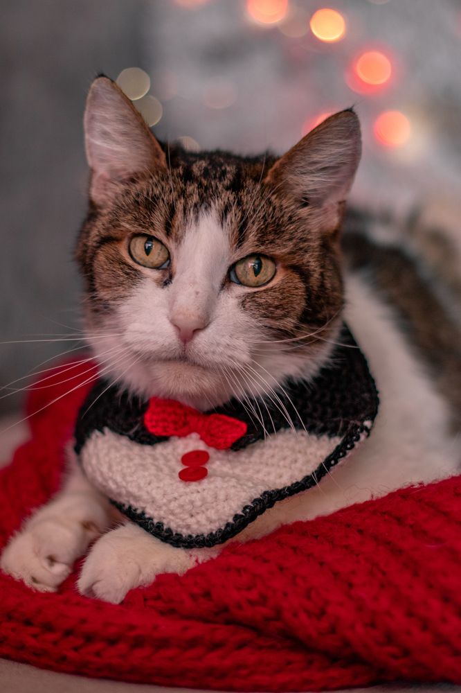 Photograph by Екатерина Алексеева