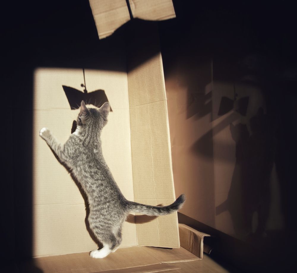 Photograph by Юрий Гау