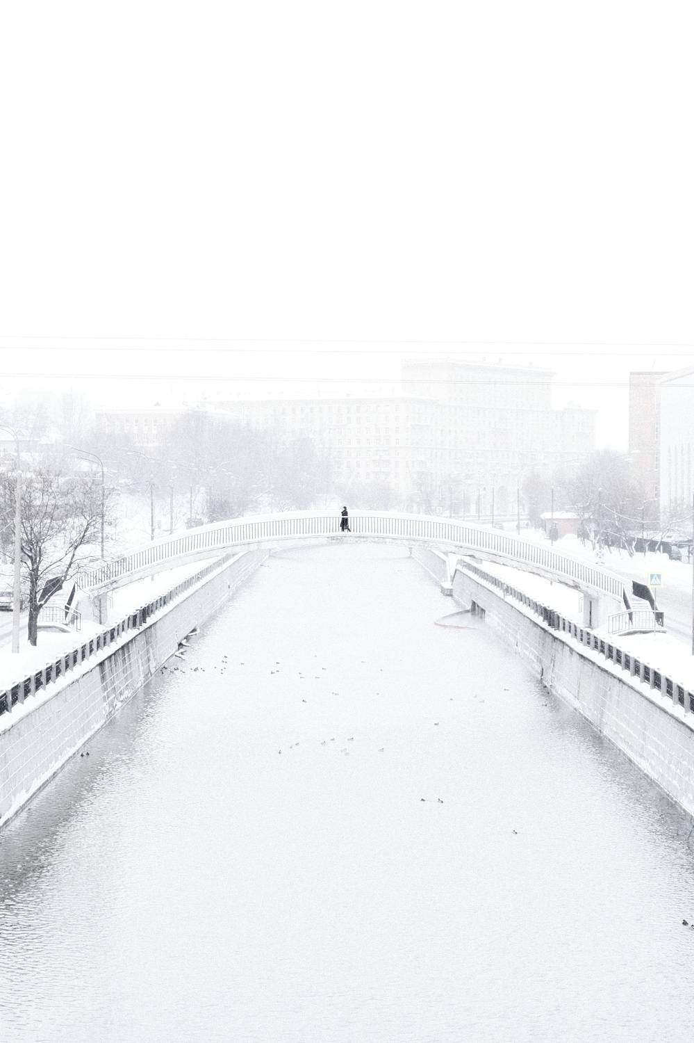 Photo #8990124