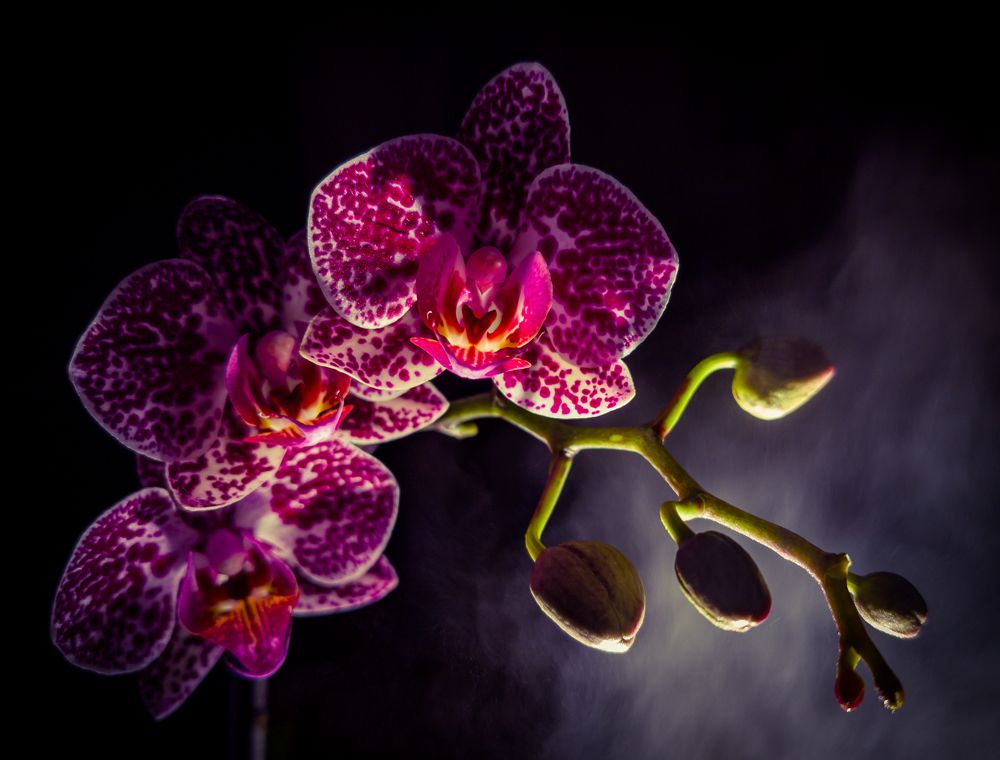 Photograph by Пётр Калачев