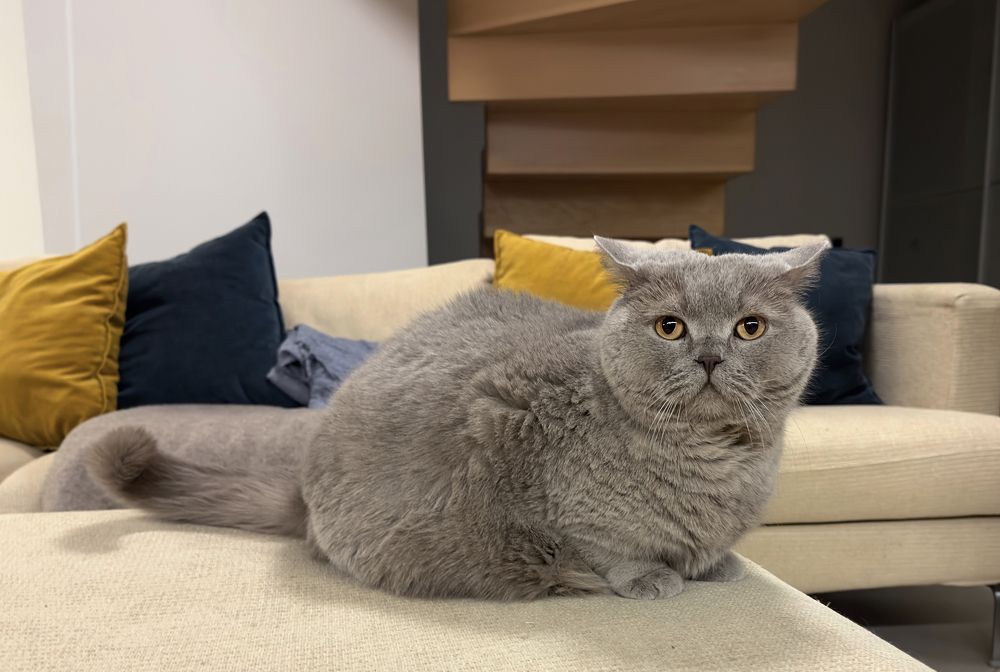 Photograph by Аудрюс Балчетис