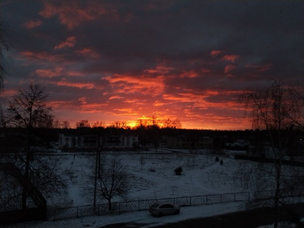 Photo #8990242