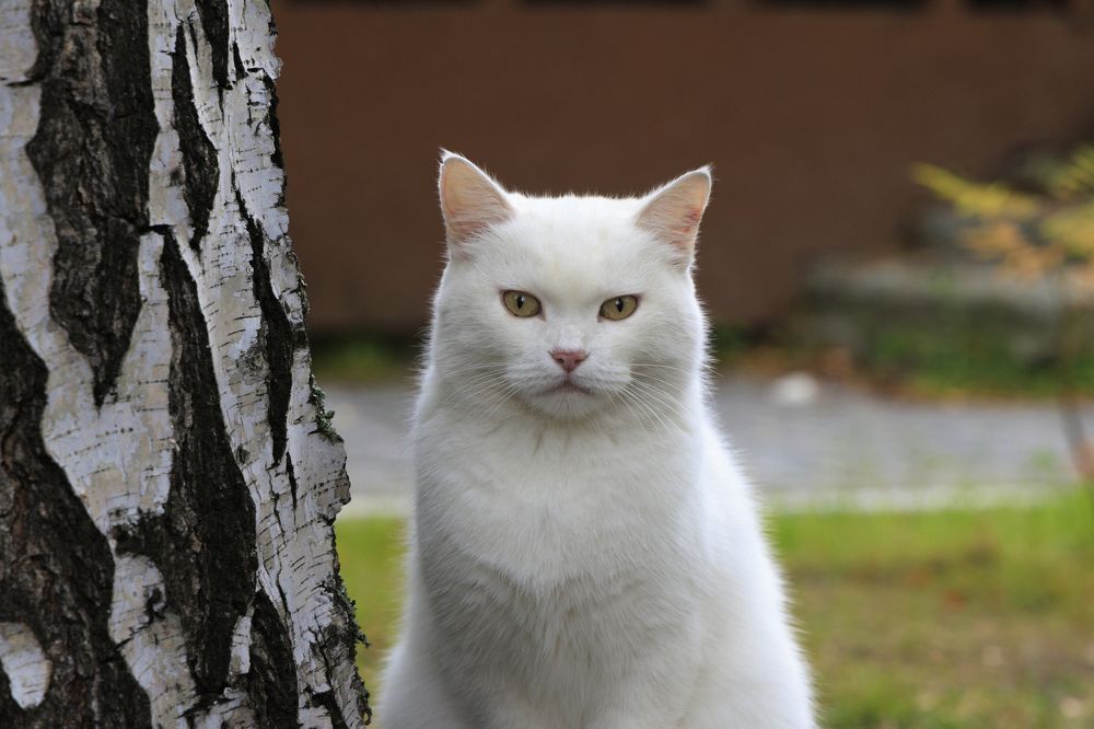 Портрет на пленере.