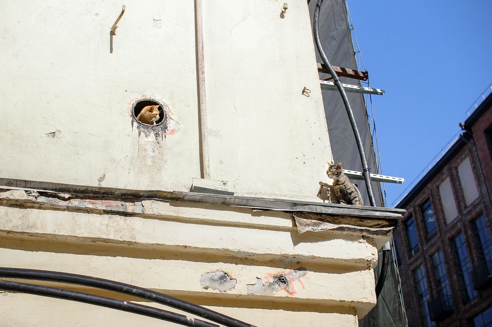 Photograph by Мария Гринёва