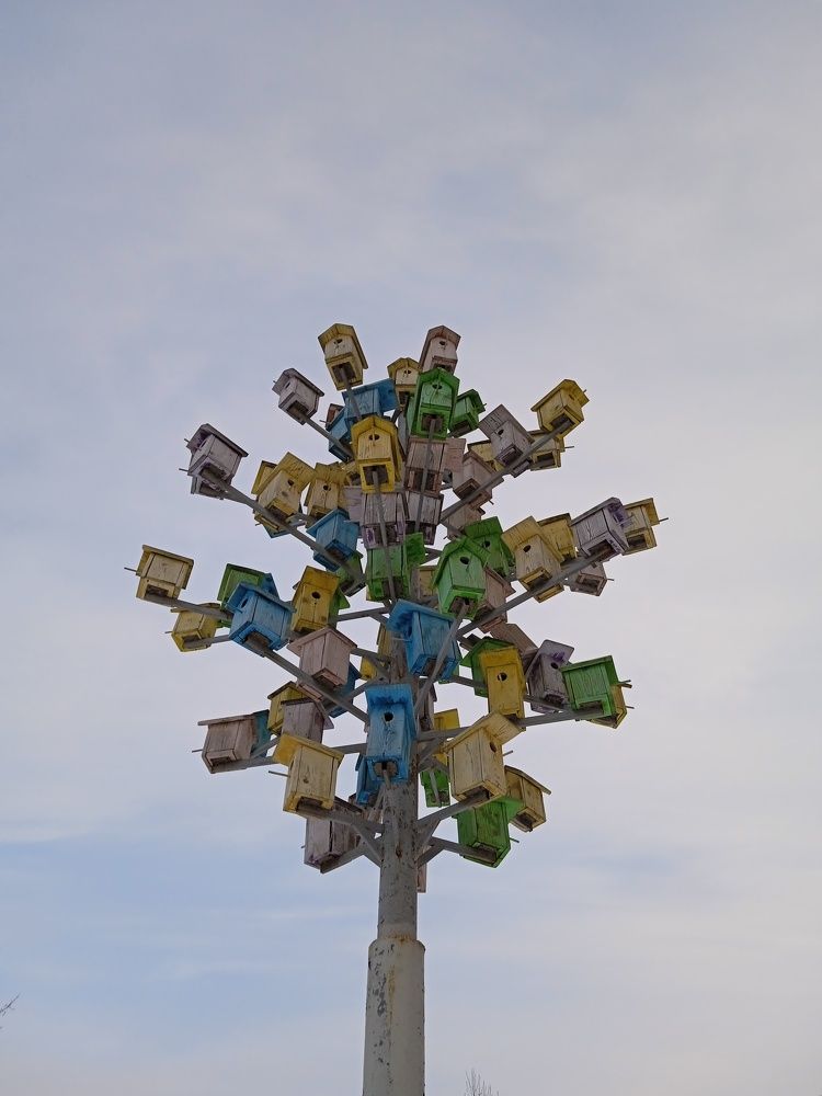 Photograph by Анна