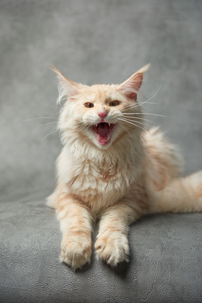 Photograph by Владимир Греков