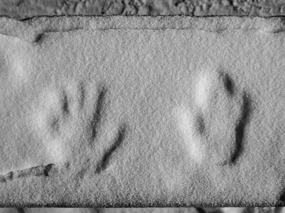 Photograph by Филоненко Николай