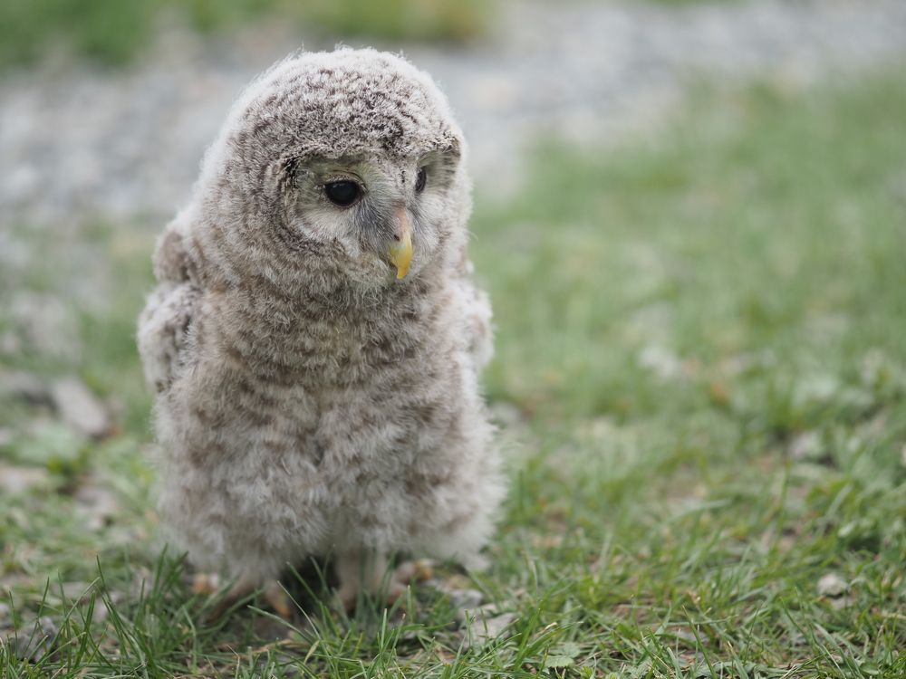 Photograph by Иван Вдовин