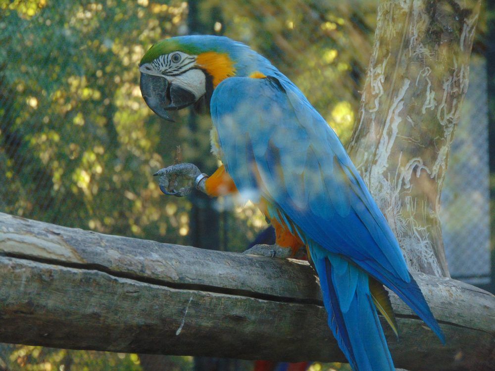 Photograph by Anna Veľasová