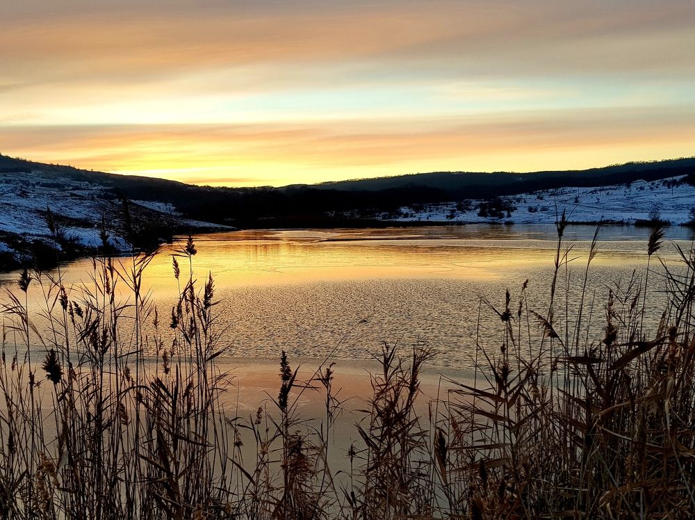 День занимается.