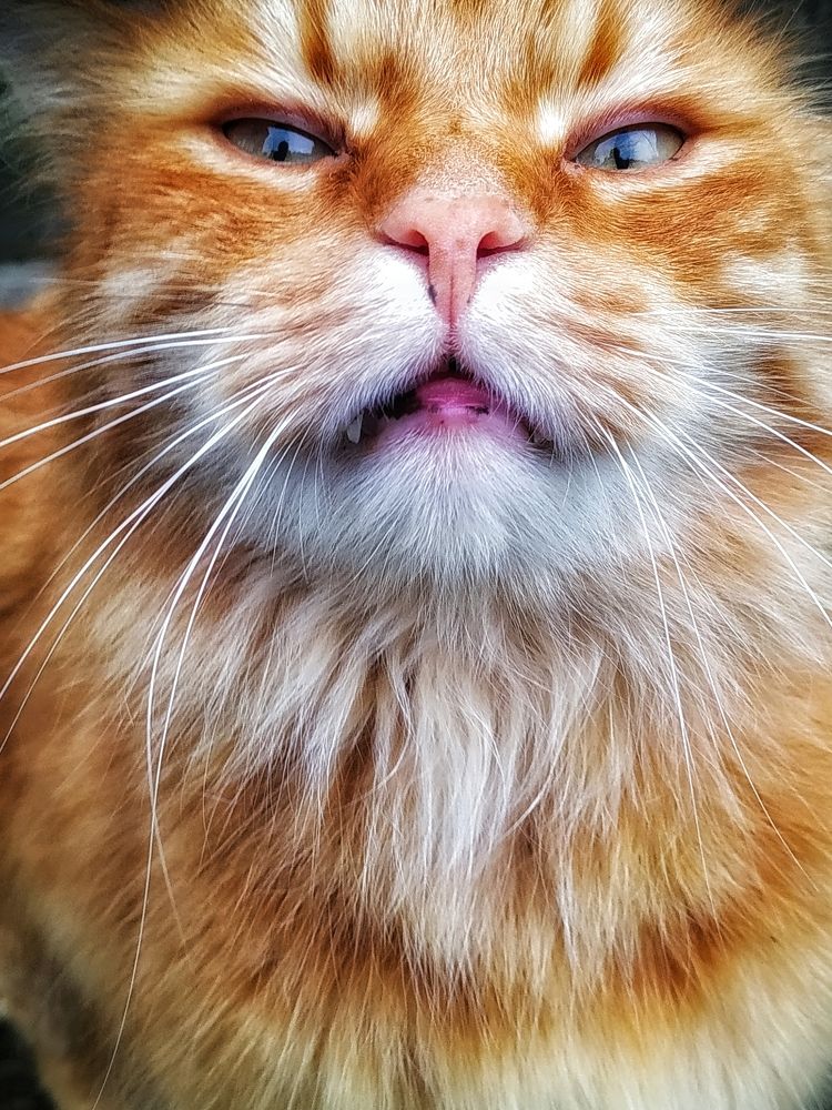 Photograph by Jekaterina Smolicka