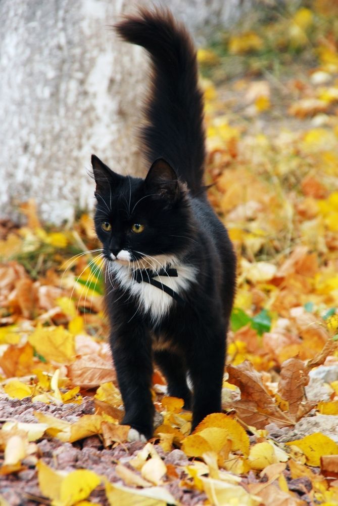 Photograph by Юрий Яковлев