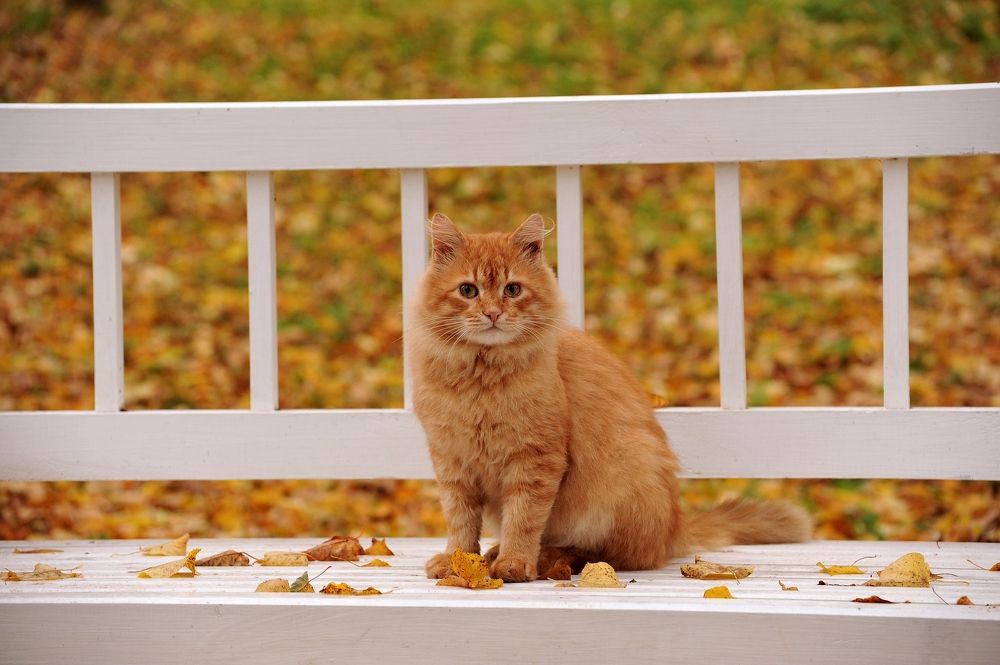 Photograph by Юрий Яковлев