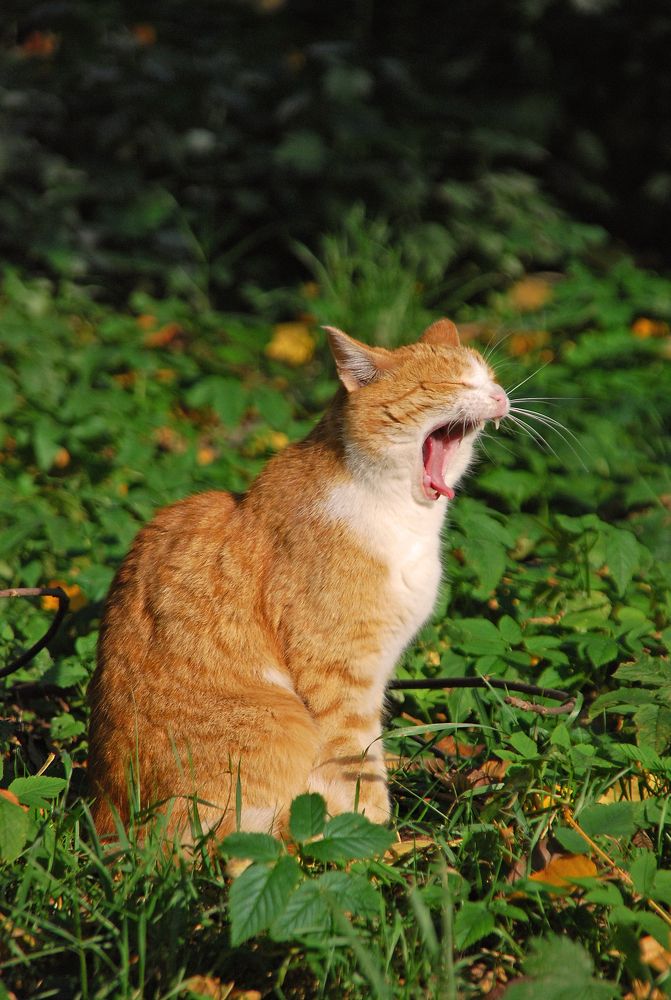 Photograph by Юрий Яковлев