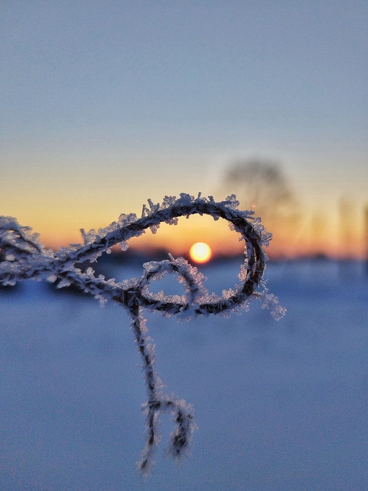 Photo #8990607