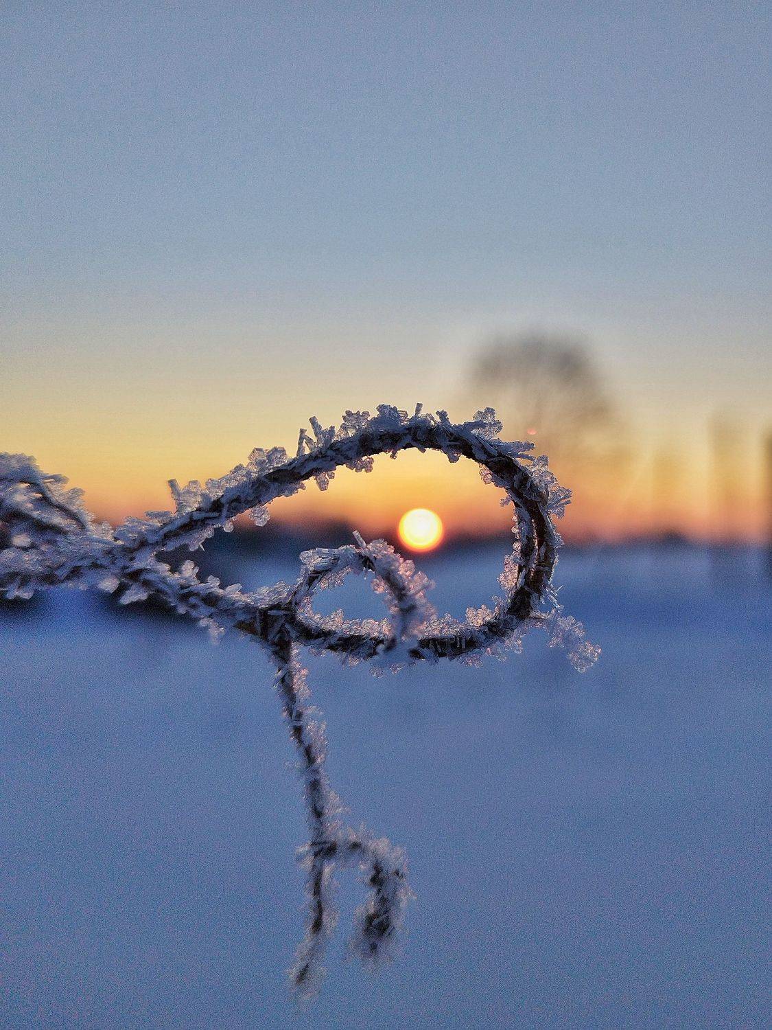 Photo #8990607