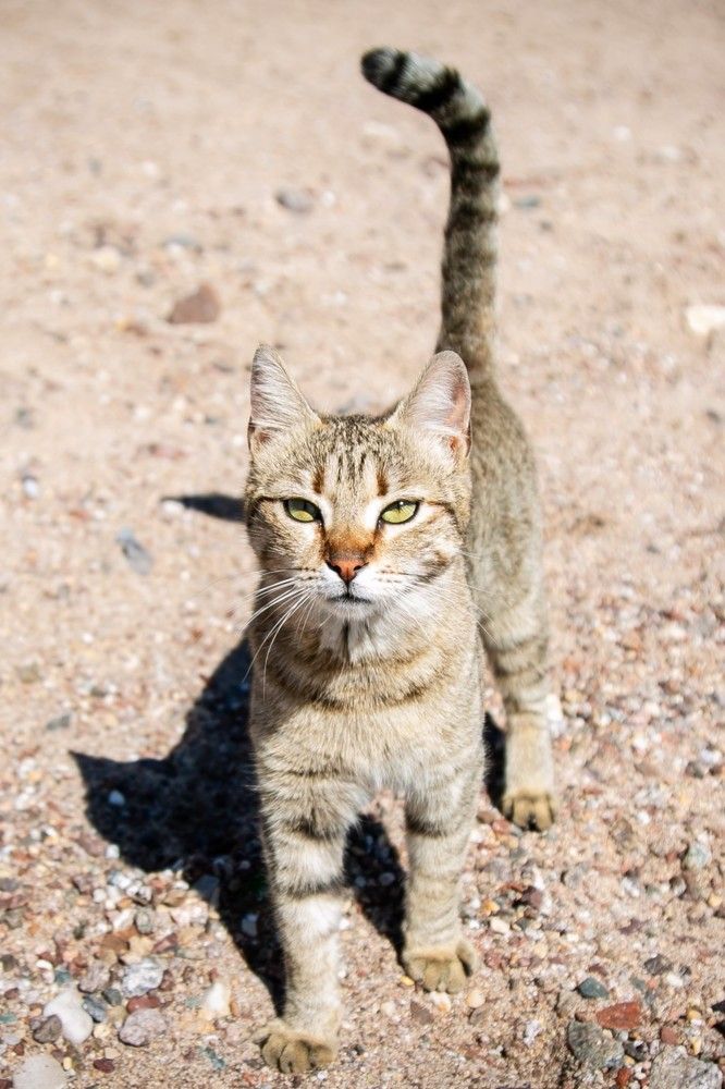 Photograph by Виктория Горловецки