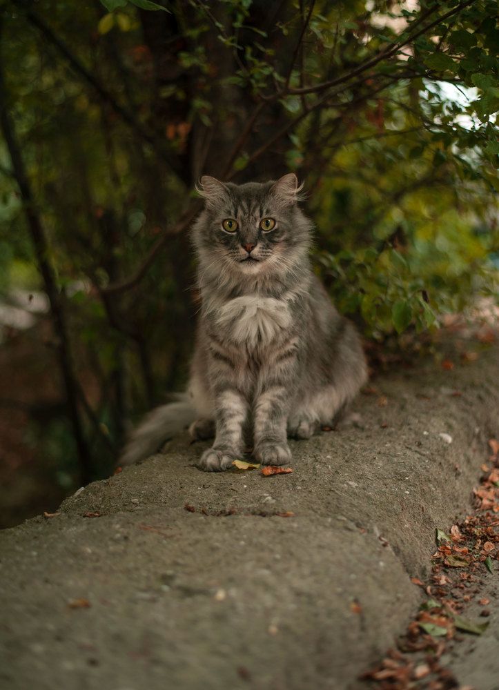 Photograph by Марина Зборацкая