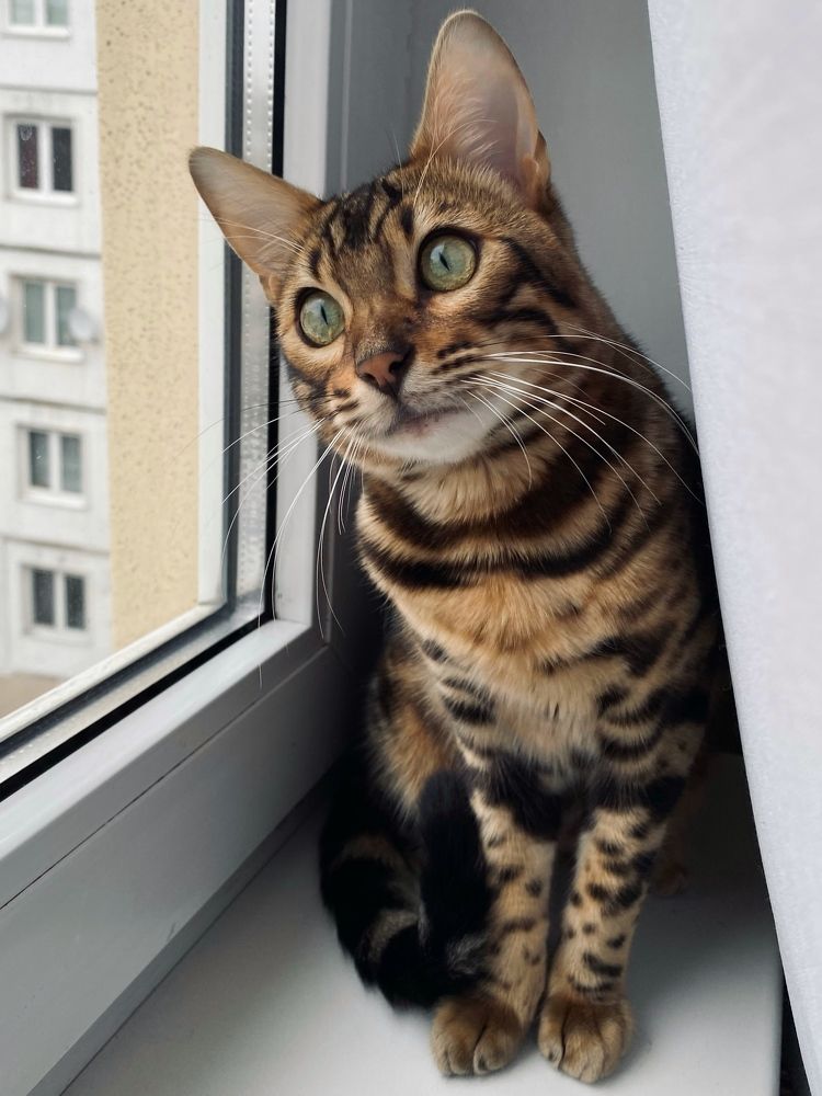 Photograph by Сусанна Аллаярова