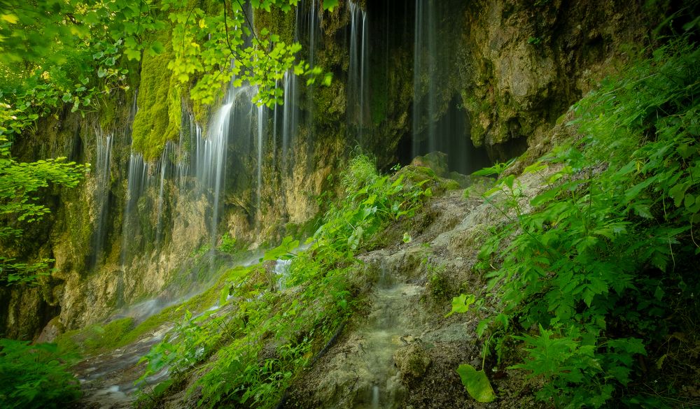 Photograph by Alexandru Pavel