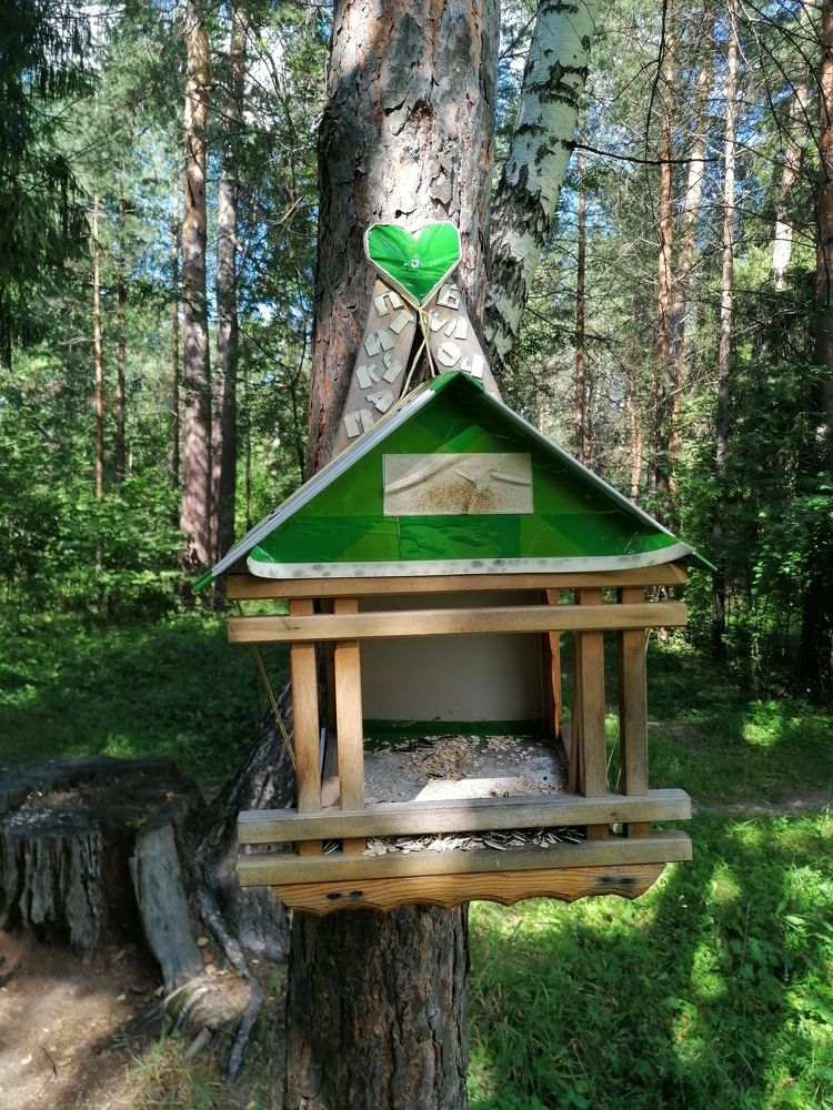 Photograph by Евгений Беляев