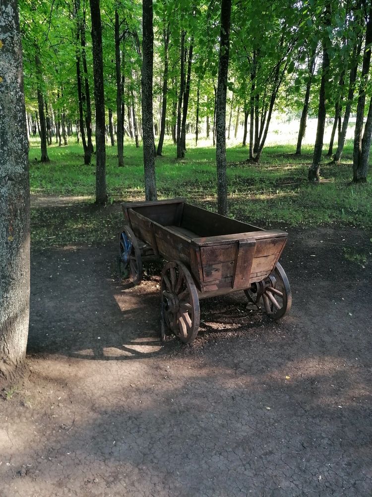 Photograph by Евгений Беляев