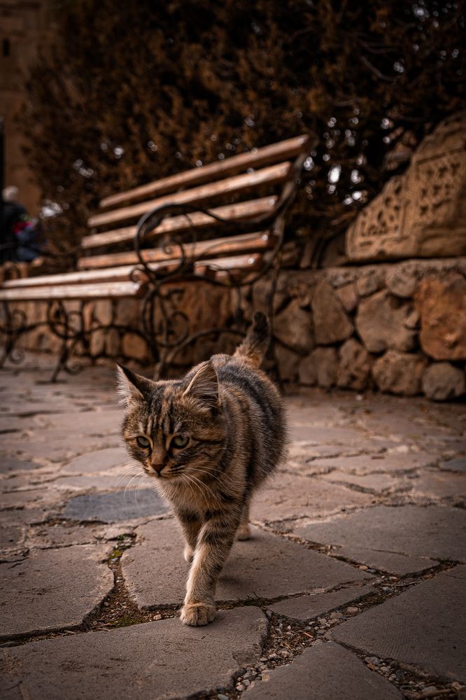 Photograph by Ольга Охорзина